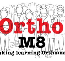 Orthom8 Newsletter #2